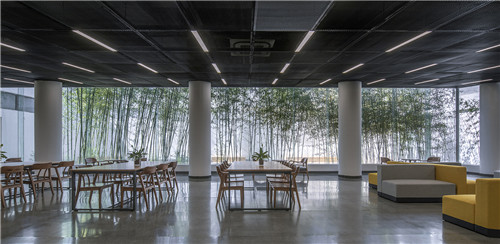 25从流通阅览室可以看到庭院景观  Courtyard landscape viewed from the circulation reading room.jpg