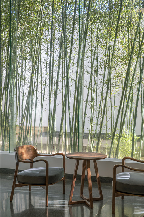 28透明的界面将竹林拉入室内  The transparent interface pulls the bamboo forest into the room.jpg