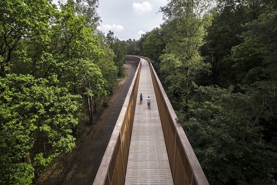 002-Cycling-through-the-Heathland-in-the-Hoge-Kempen-National-Park-by-Maat-Ontwerpers-960x640.jpg