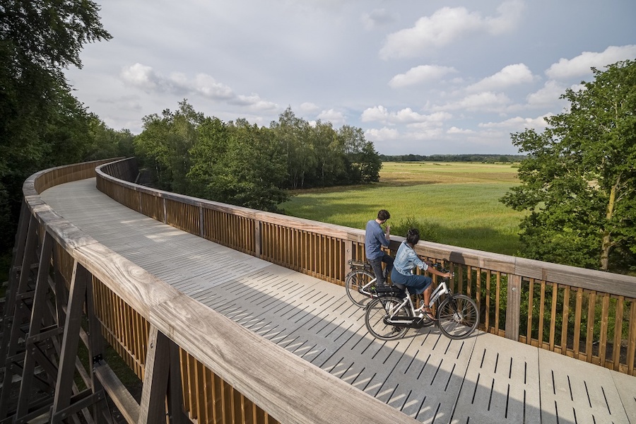 011-Cycling-through-the-Heathland-in-the-Hoge-Kempen-National-Park-by-Maat-Ontwerpers-960x640.jpg